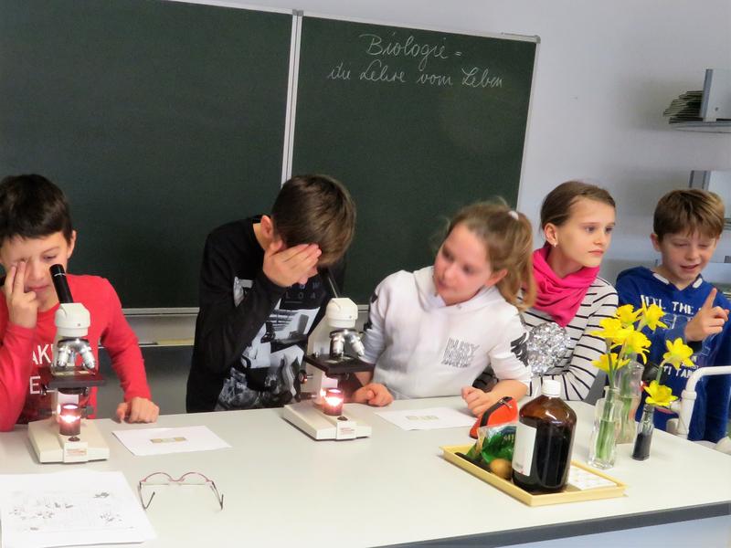 Schnuppertag